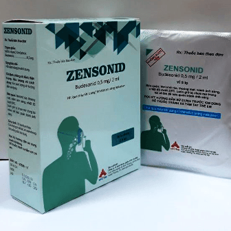 Zensonid cat