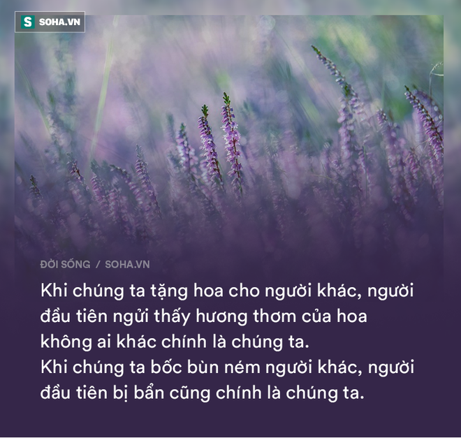 14 câu nói vận vào ai cũng có lúc đúng: Đọc và ngẫm, bạn sẽ được nhiều hơn mất! - Ảnh 1.