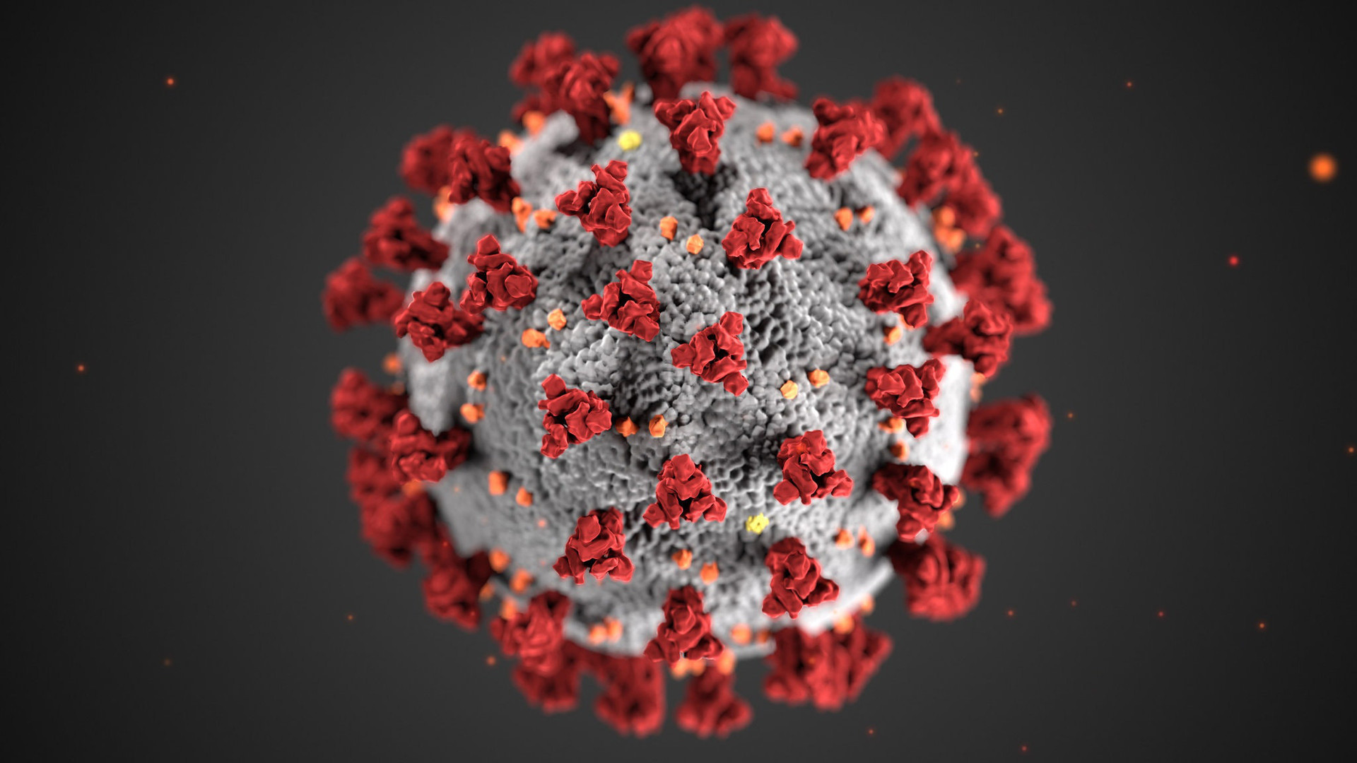 Khối cầu gai khuynh đảo thế giới: Thấy gì từ bức hình minh họa 3D nổi tiếng của virus SARS-CoV-2? - Ảnh 3.