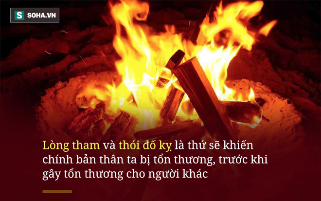 Bò theo cách ngược đời, đuôi đi trước đầu theo sau, con rắn gặp tai họa đủ đau để cảnh tỉnh nhiều người - Ảnh 3.