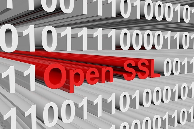 Lỗ hổng nghiêm trọng cao trong OpenSSL cho phép tấn công DoS - Ảnh 1.