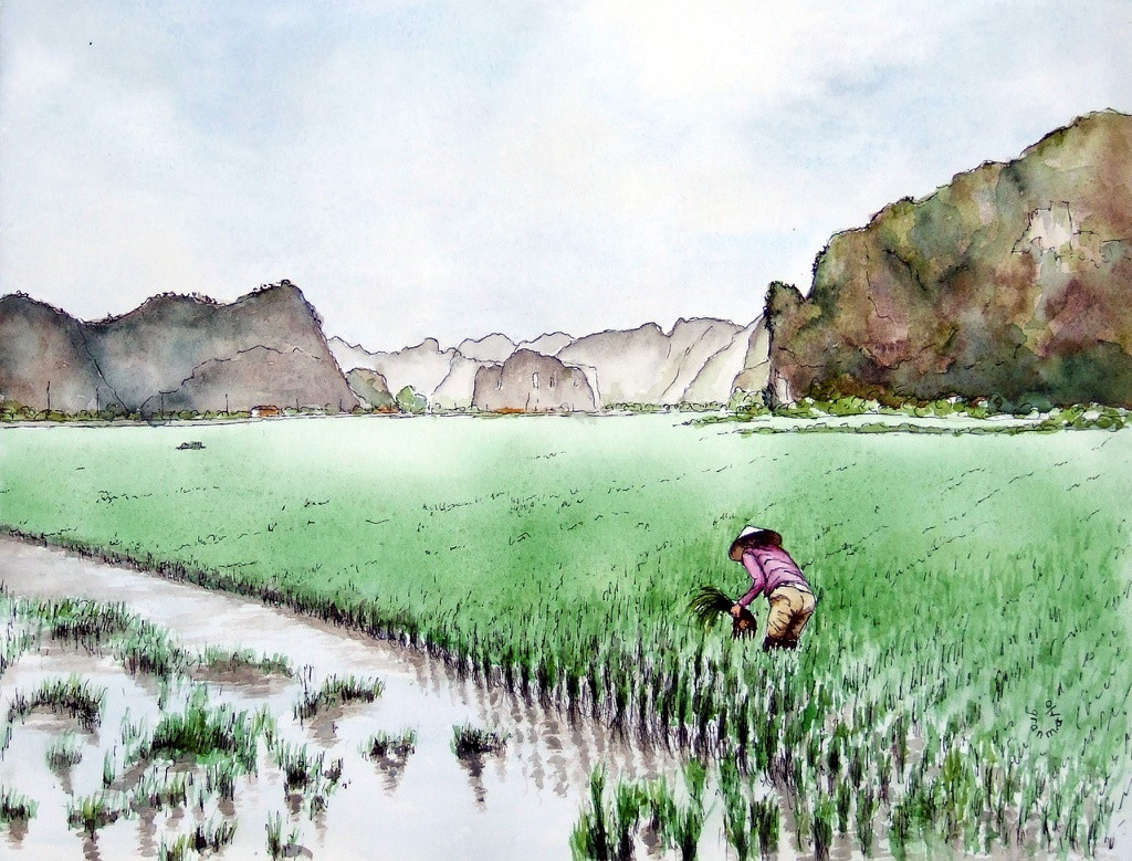 Bộ tranh “đẹp quá Việt Nam ơi” được vẽ bởi họa sĩ người Pháp  - Ảnh 4.