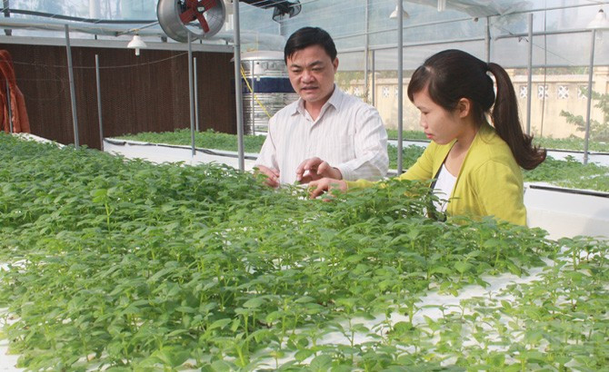Bắc Giang: Đẩy mạnh ứng dụng KHKT vào sản xuất, hướng tới nền nông nghiệp bền vững - Ảnh 1.