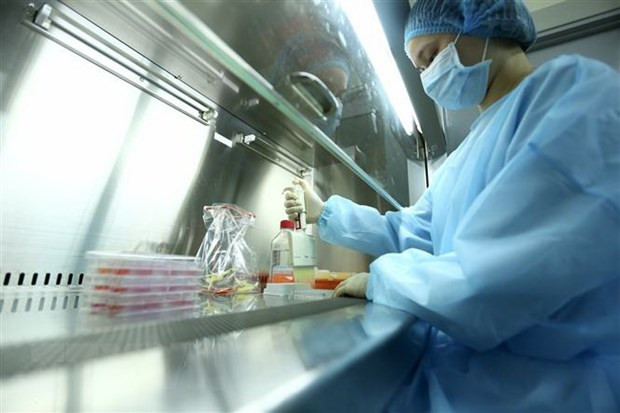 Khoa học công nghệ thúc đẩy phát triển ngành y-dược Việt Nam - Ảnh 1.