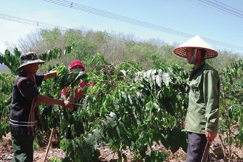 Huyện Ngọc Hồi, Kon Tum: Thực hiện hiệu quả Chương trình mục tiêu quốc gia giảm nghèo bền vững - Ảnh 2.