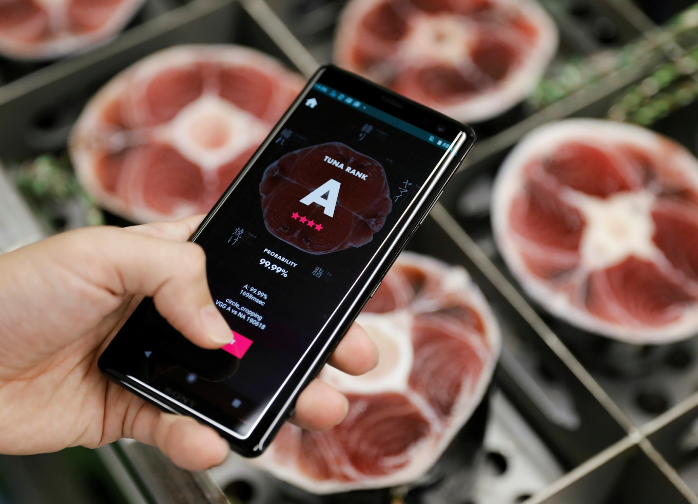 Ứng dụng AI giúp chọn cá ngừ chất lượng cho món sashimi - Ảnh 1.