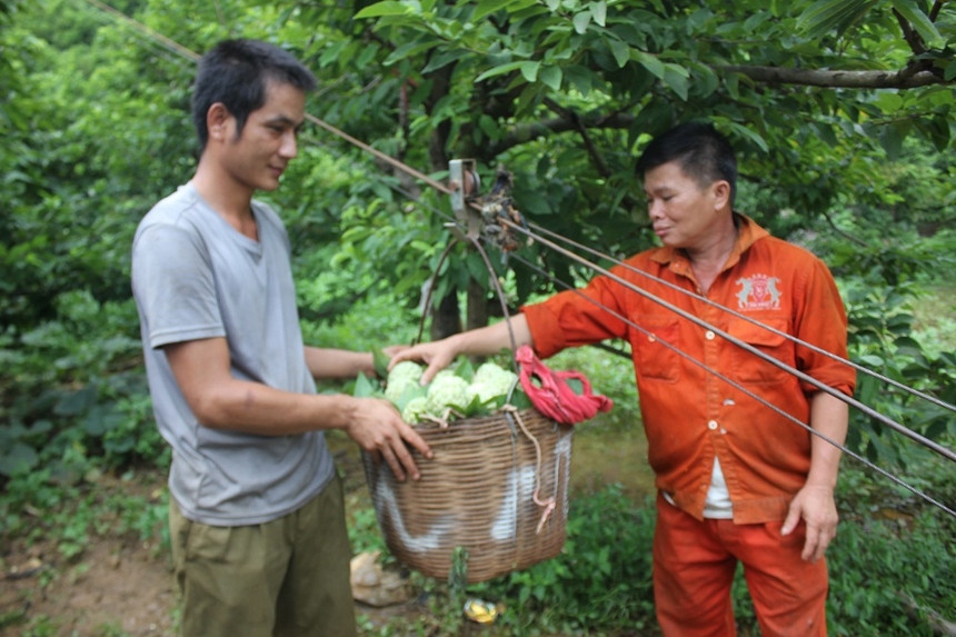 Nông sản đặc sản giúp nông dân Lạng Sơn vươn lên làm giàu - Ảnh 1.