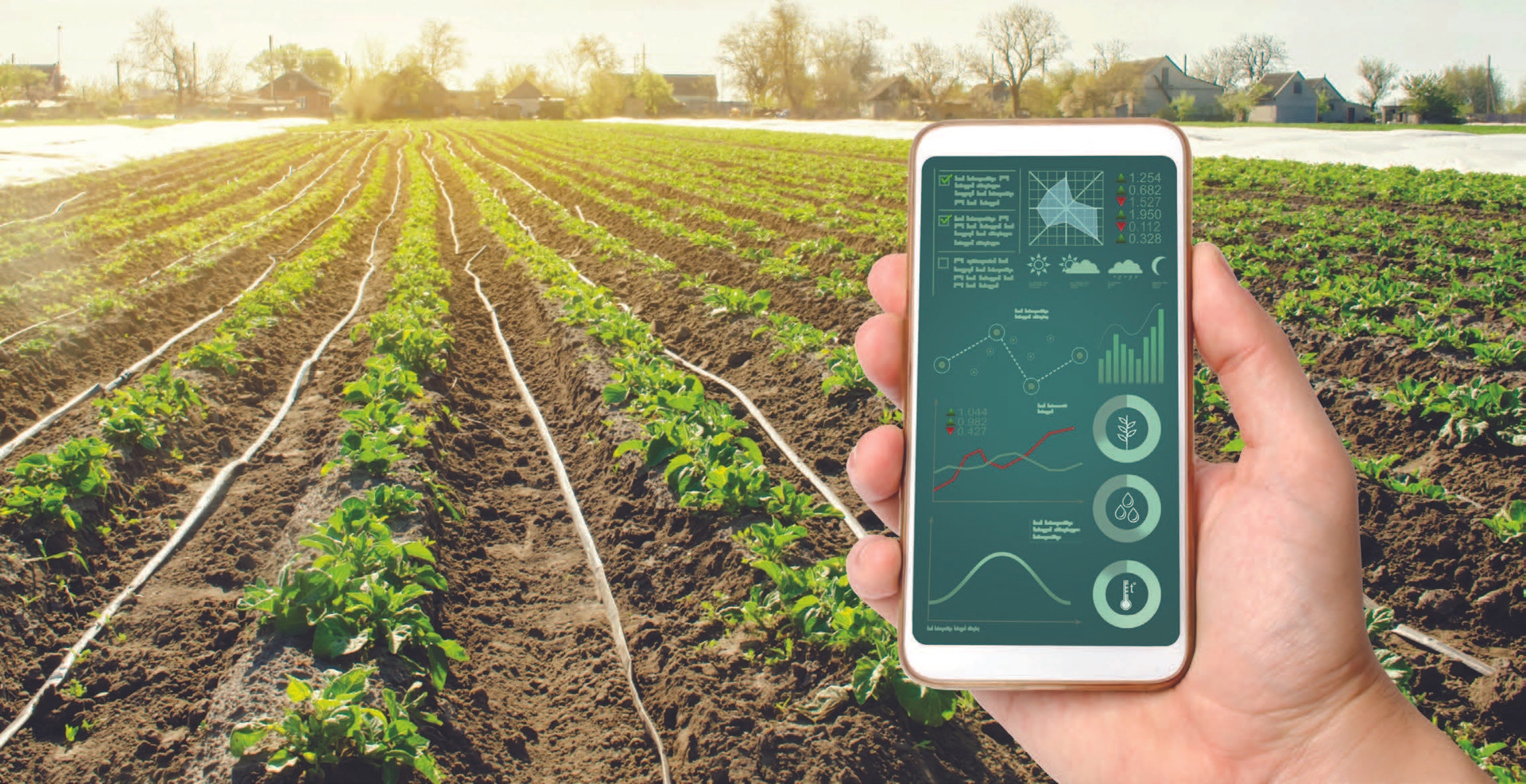 IoT & bức tranh toàn cảnh nông nghiệp toàn cầu - Ảnh 2.