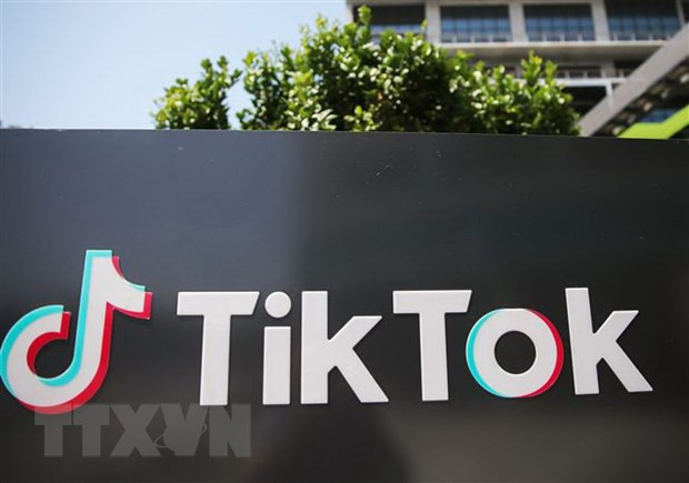 Ứng dụng TikTok gỡ hơn 104 triệu video có nội dung bạo lực - Ảnh 1.