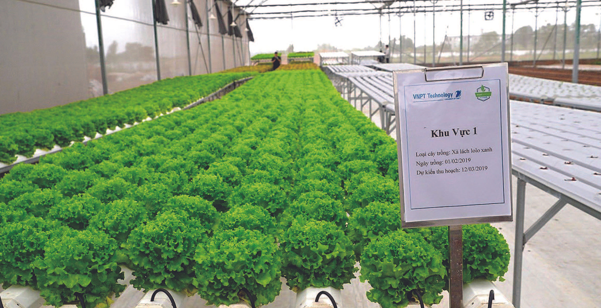 VNPT hỗ trợ Tập đoàn Lộc Trời ứng dụng AI phát triển nông nghiệp thông minh - Ảnh 2.