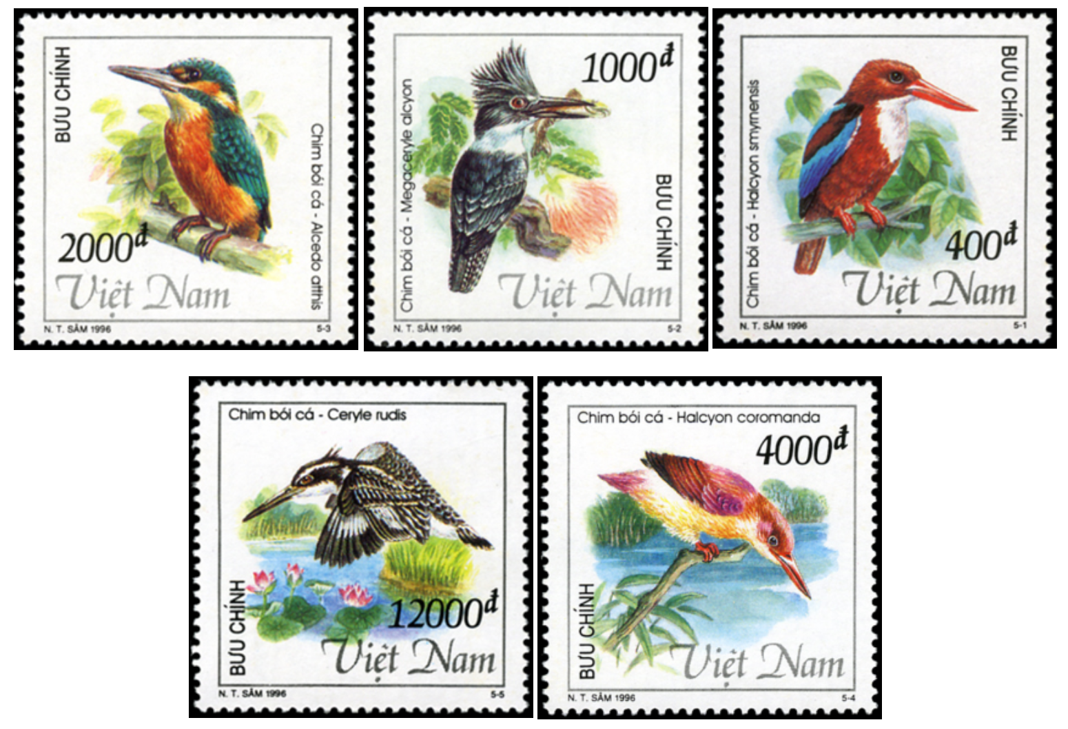 Phát hành bộ tem bưu chính bảo tồn loài chim bói cá - Ảnh 2.