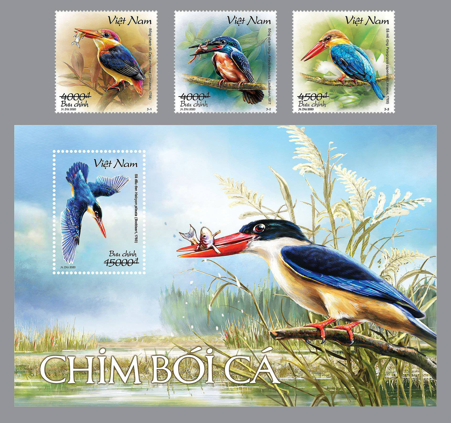 Phát hành bộ tem bưu chính bảo tồn loài chim bói cá - Ảnh 1.