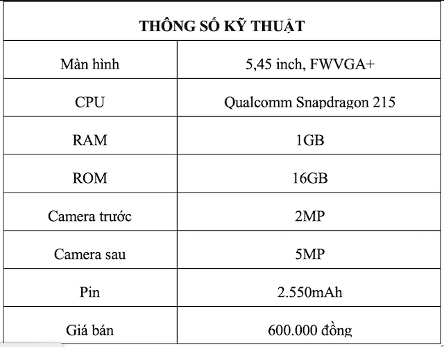 Vingroup phổ cập smartphone cho người dùng Việt  - Ảnh 2.