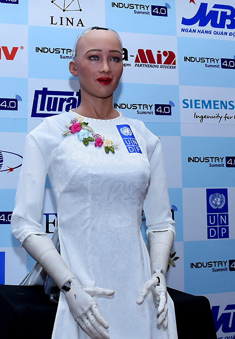 Các nhà sản xuất robot Sophia lên kế hoạch triển khai đồng loạt  - Ảnh 1.