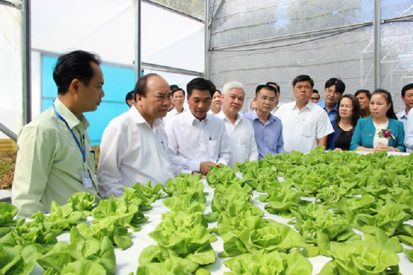 Bình Phước hướng đến địa phương tiên phong về phát triển nông nghiệp công nghệ cao - Ảnh 1.