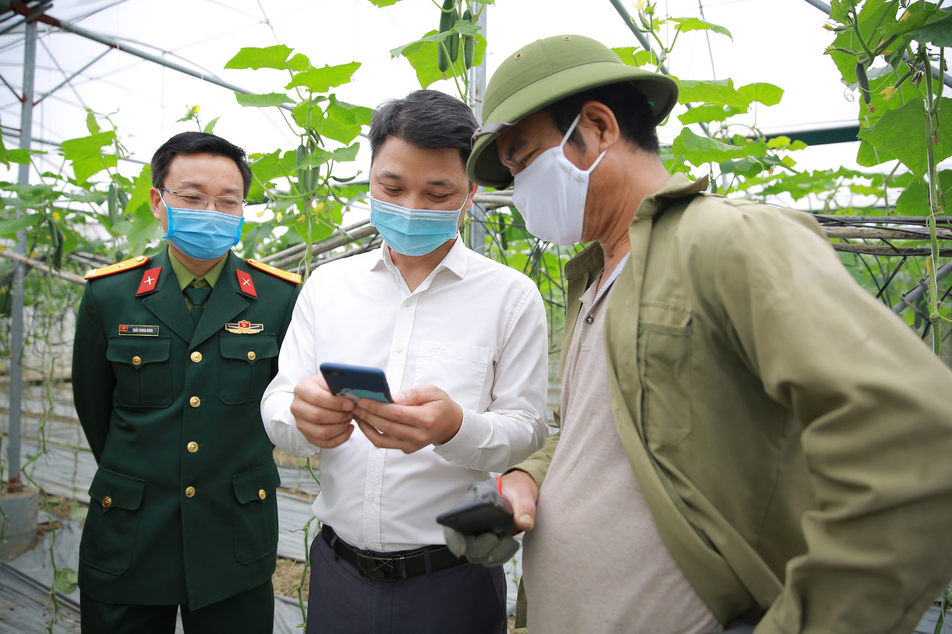 Ứng dụng chuyển đổi số giúp nông sản Việt thoát cảnh 