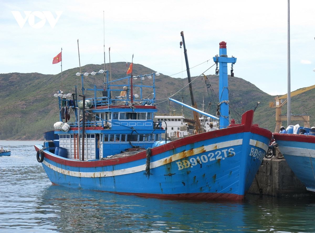 Bình Định: Đảm bảo 100% tàu cá có chứng nhận an toàn thực phẩm trong tháng 6 - Ảnh 1.