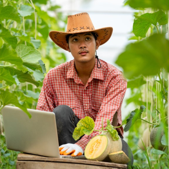 Ứng dụng ICT trong nông nghiệp giúp nông dân trồng dưa Nhật Bản 