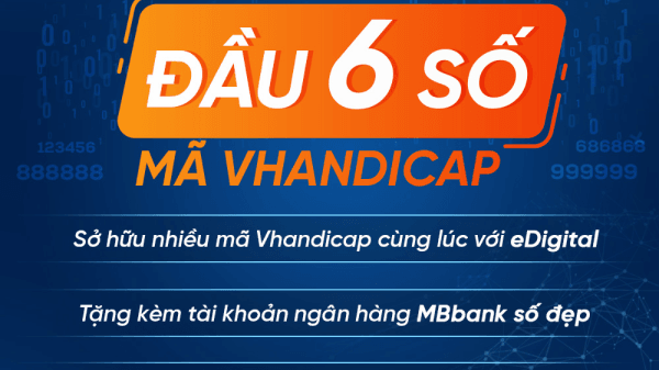 Sử dụng nhiều mã Vhandicap có ảnh hưởng đến handicap thực của người chơi golf hay không? - Ảnh 1.