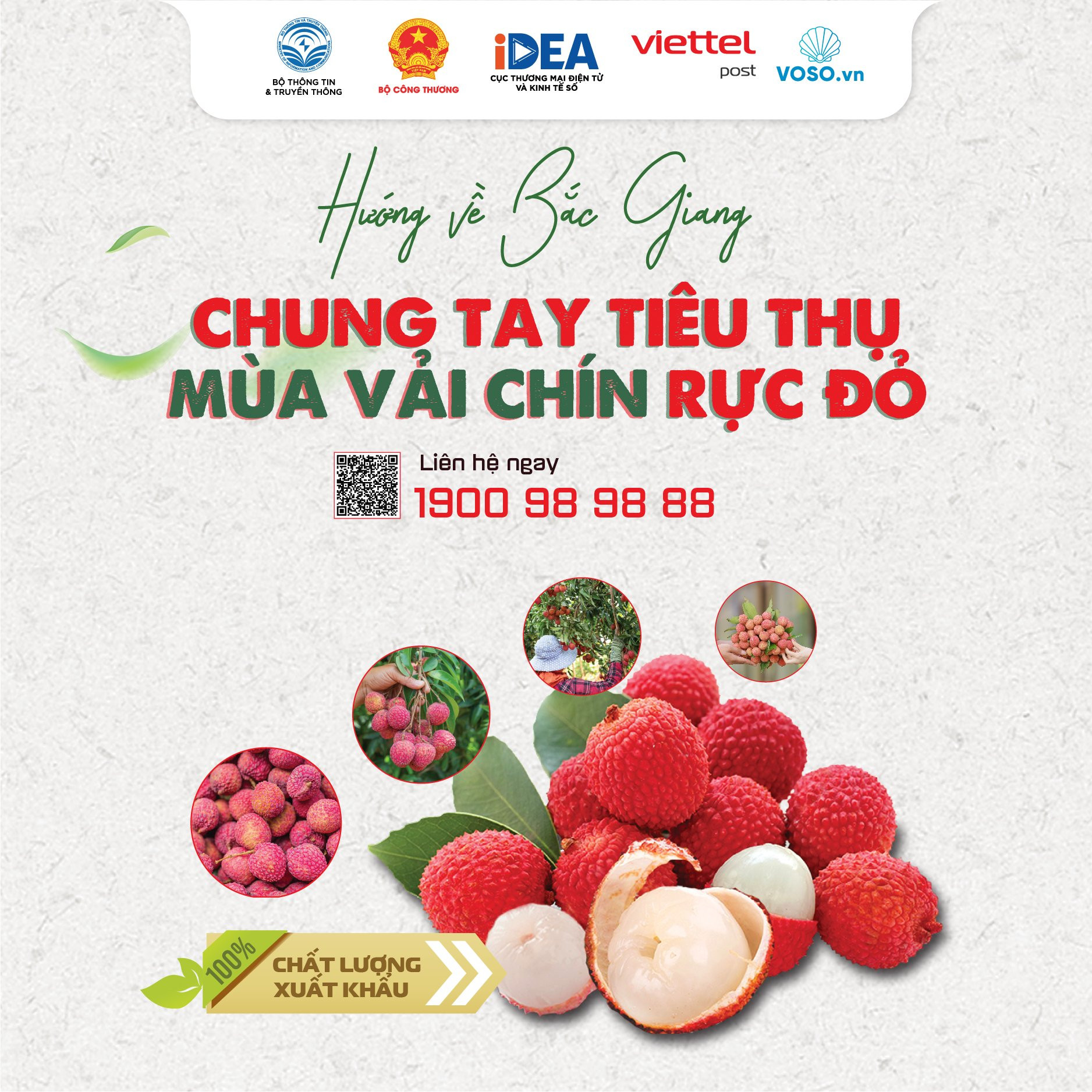 Hành trình nông sản Việt từ vườn đến bàn ăn trong kỷ nguyên số - Ảnh 1.