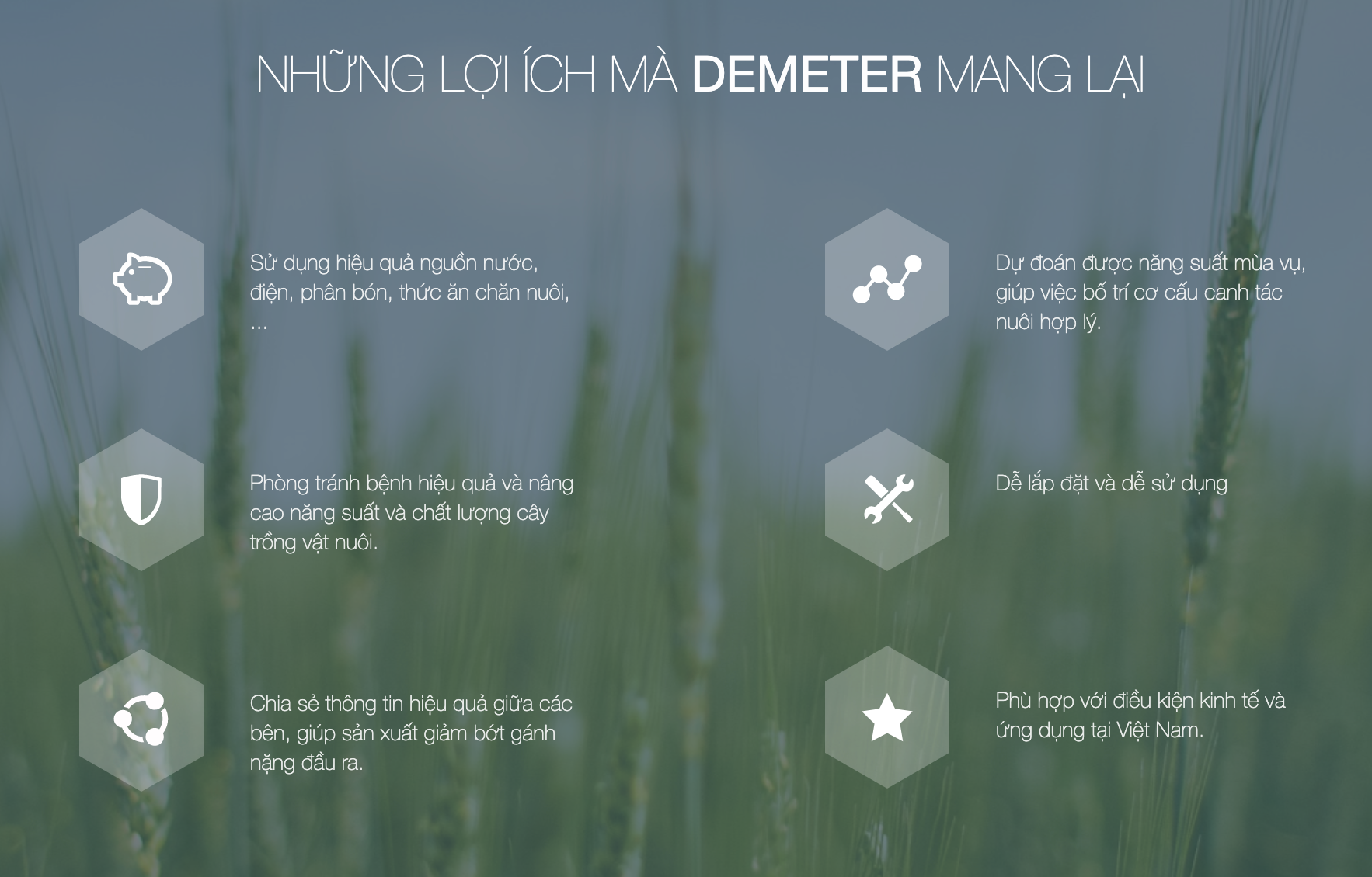 5 startup nông nghiệp công nghệ Việt tích cực đổi mới  sáng tạo - Ảnh 2.