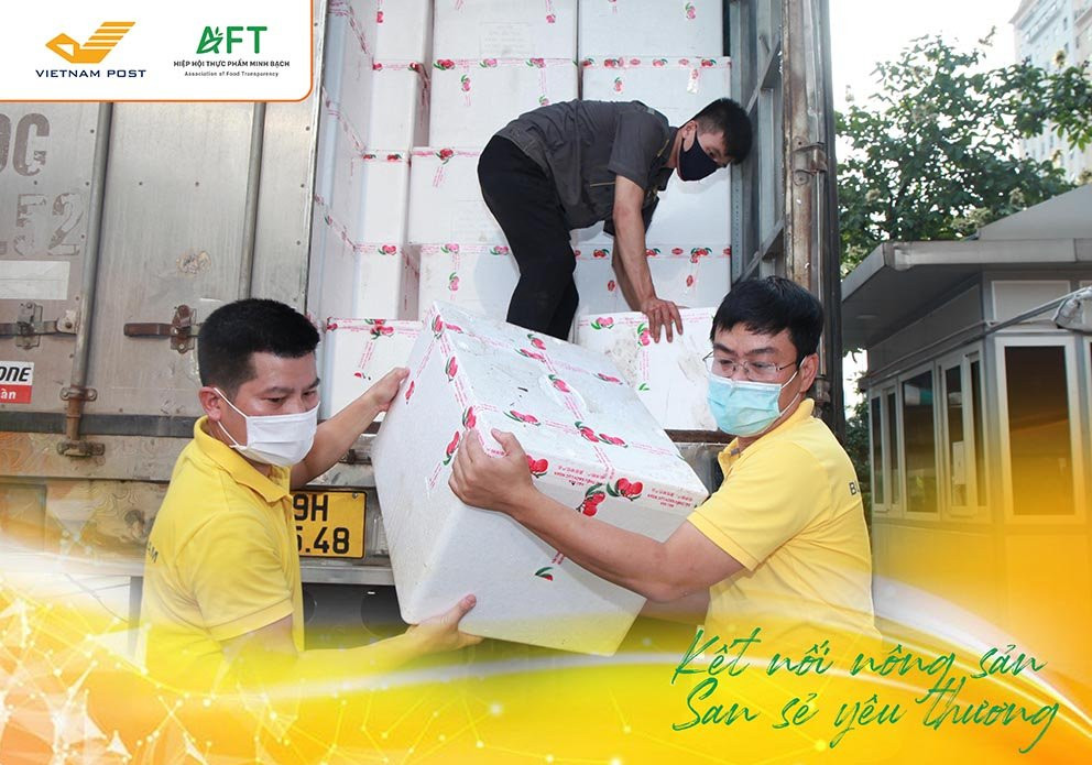 Bưu điện và Hiệp hội Thực phẩm Minh bạch chung tay tiêu thụ vải Bắc Giang - Ảnh 1.