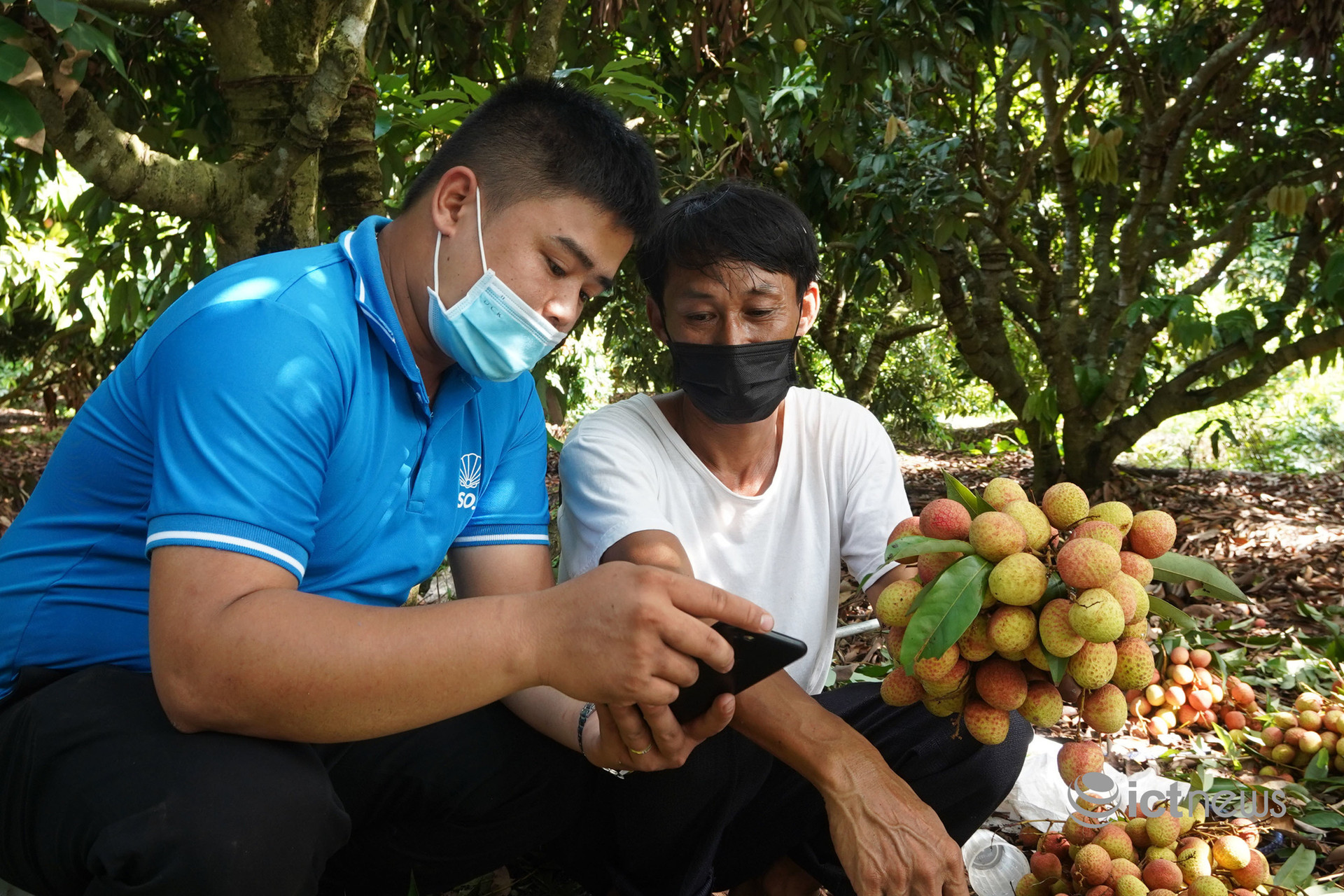 Nông dân 5 tỉnh mang đặc sản lên bán tại “Phiên chợ nông sản Việt trực tuyến” - Ảnh 3.