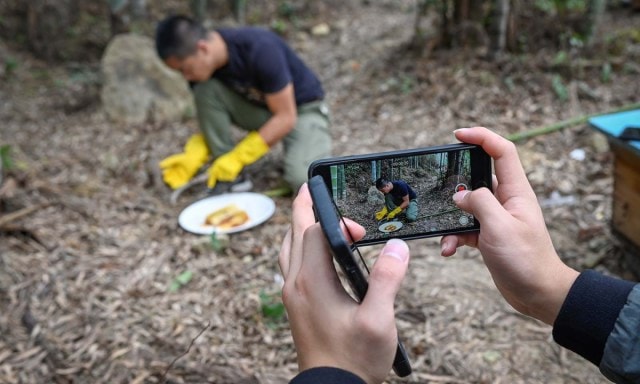 TikTok giúp thúc đẩy nông nghiệp Trung Quốc như thế nào? - Ảnh 3.