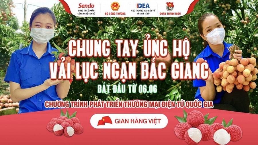 Sàn thương mại điện tử góp phần đẩy mạnh tiêu thụ vải cho người dân Bắc Giang