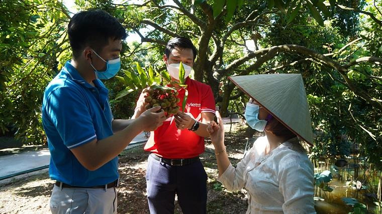 Đẩy mạnh tiêu thụ nhãn xuồng Đồng Tháp qua sàn thương mại điện tử
