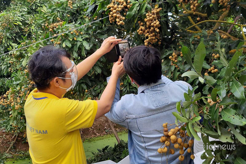 Địa phương xây dựng kế hoạch đưa hộ sản xuất nông nghiệp lên sàn điện tử