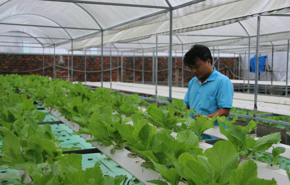 Bắc Giang: Ứng dụng hiệu quả công nghệ thông tin trong nông nghiệp - Ảnh 1.