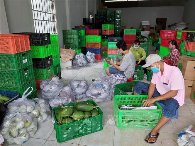 Hậu Giang nỗ lực tiêu thụ nông sản qua giao dịch điện tử