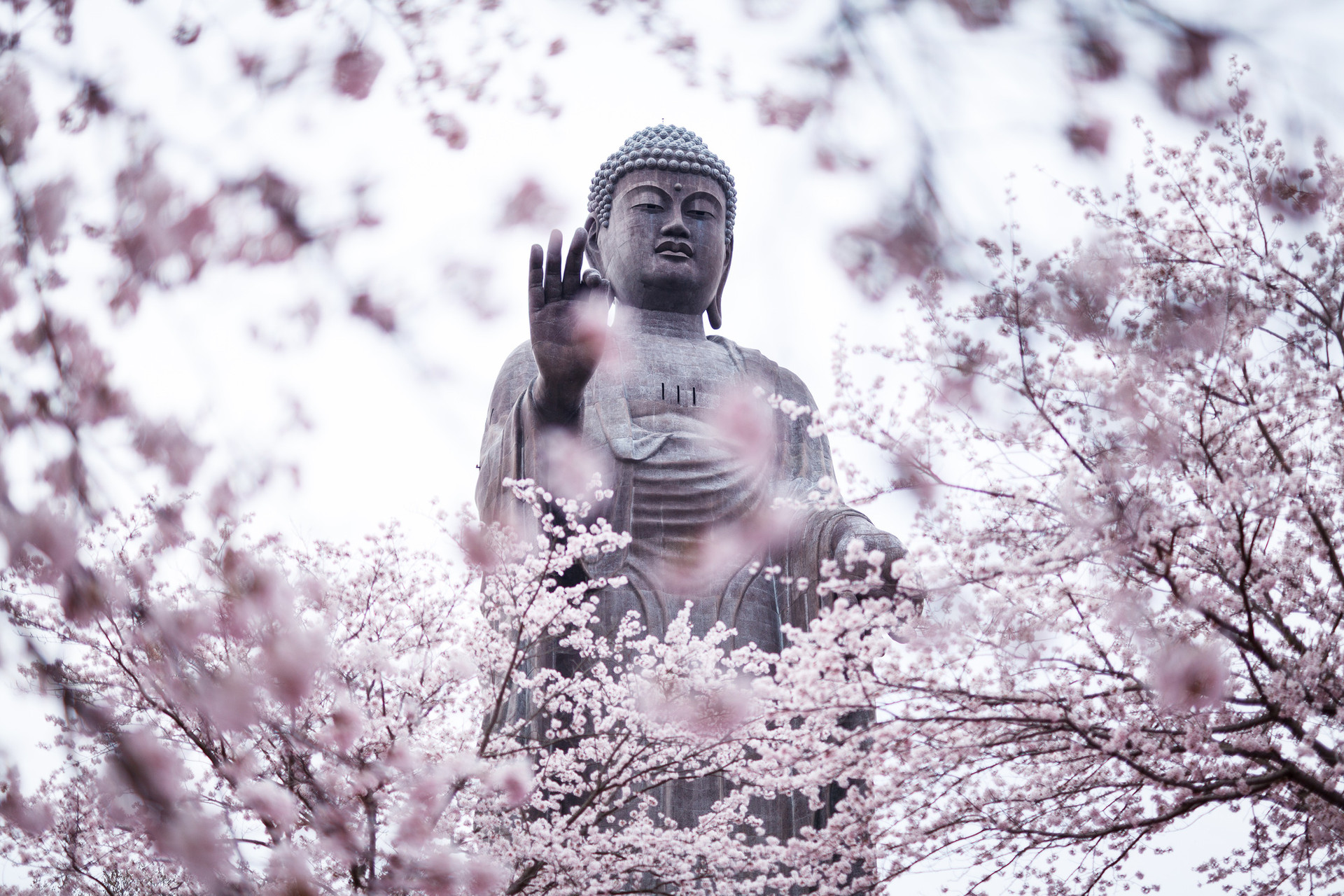 Ứng dụng công nghệ số trong Bảo tồn văn hóa Phật giáo - Ảnh 1.