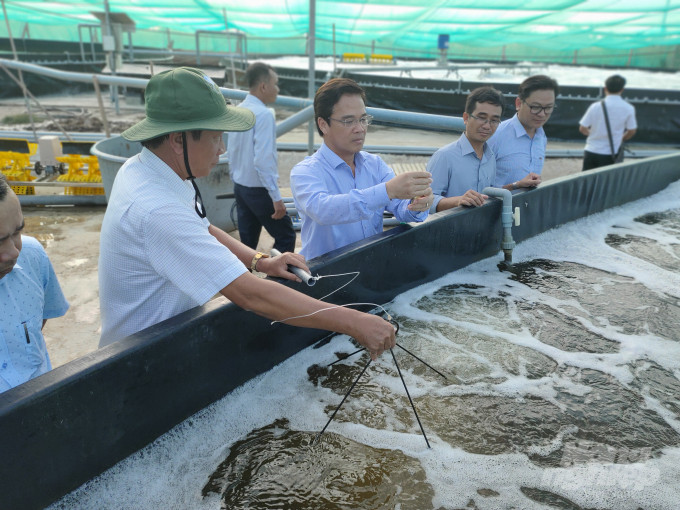 Người dân Khmer ở Bạc Liêu: Áp dụng khoa học – công nghệ nuôi vào trồng thủy, hải sản - Ảnh 1.