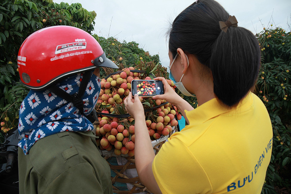 Chuyển đổi số: cơ hội để Việt Nam bứt phát thành cường quốc về nông nghiệp - Ảnh 4.