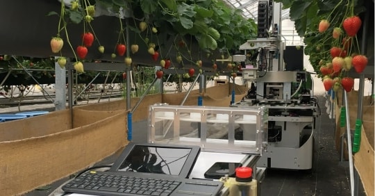 Chuyển đổi số tạo diện mạo mới cho nông nghiệp Nhật Bản