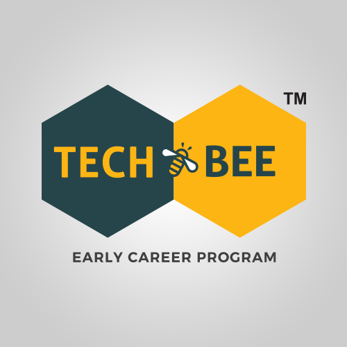 Khởi động chương trình hướng nghiệp sớm Techbee cho học sinh PTTH tại Việt Nam - Ảnh 1.
