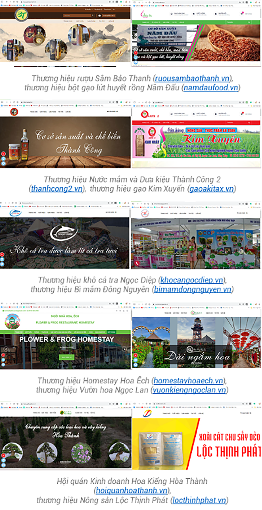 Hàng chục sản vật đặc trưng của tỉnh Đồng Tháp hiện diện trên Internet với tên miền quốc gia - Ảnh 2.