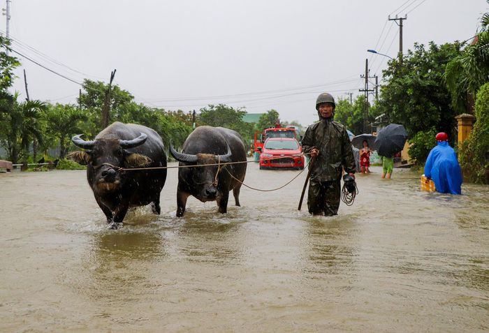 Ban Chỉ đạo quốc gia về PCTT họp ứng phó với mưa lũ miền Trung - Ảnh 1.