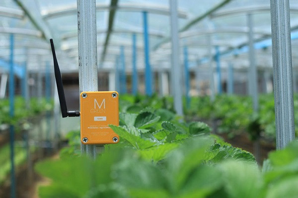 5 công nghệ được ứng dụng trong nông nghiệp thông minh - Ảnh 1.