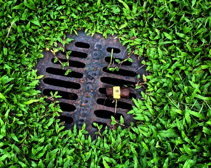 Nói “không” với việc vứt đầu lọc thuốc lá ra sân golf - Ảnh 2.