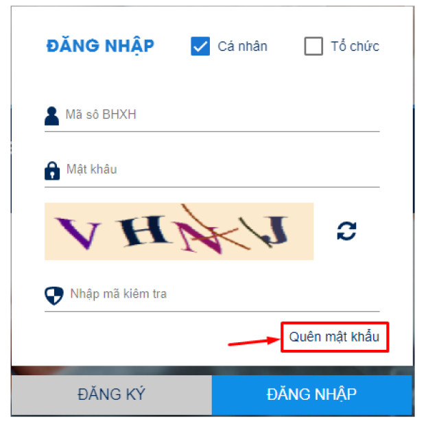 BHXH Việt Nam triển khai hình thức cấp lại mật khẩu ứng dụng VssID miễn phí qua email cá nhân của người dùng  - Ảnh 4.
