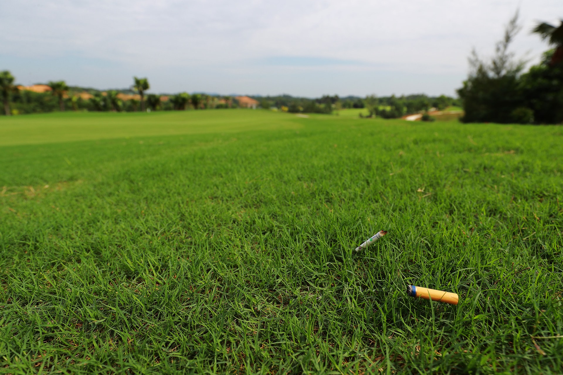 Nói “không” với việc vứt đầu lọc thuốc lá ra sân golf - Ảnh 3.
