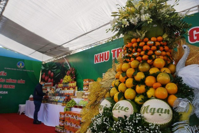 Bắc Giang: Đẩy mạnh tiêu thụ cam, bưởi và các nông sản quy mô lớn - Ảnh 2.