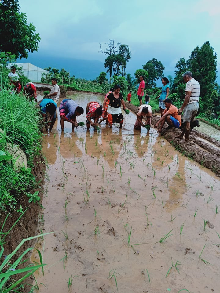Những công nghệ giúp Nepal vượt qua đại dịch COVID-19, xóa đói giảm nghèo - Ảnh 2.