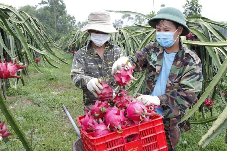 Chuyển đổi số là chìa khoá để Vĩnh phúc xây dựng nền nông nghiệp thông minh - ảnh 2