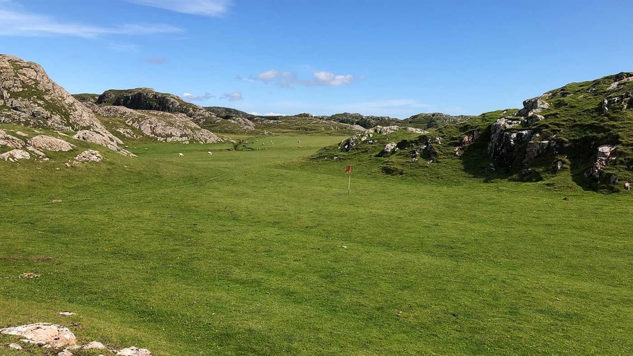 Sân golf đặc biệt ở Scotland được bảo dưỡng bởi những chú cừu - Ảnh 1.