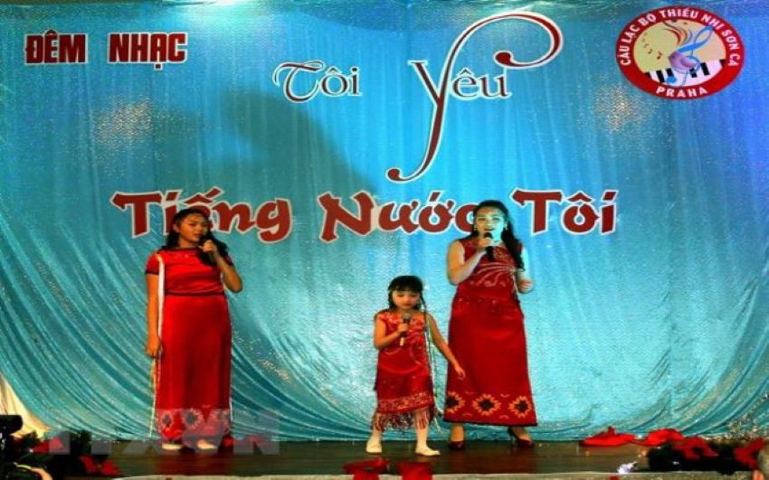 Quảng bá văn hóa Việt Nam và tôn vinh tiếng Việt - Ảnh 3.