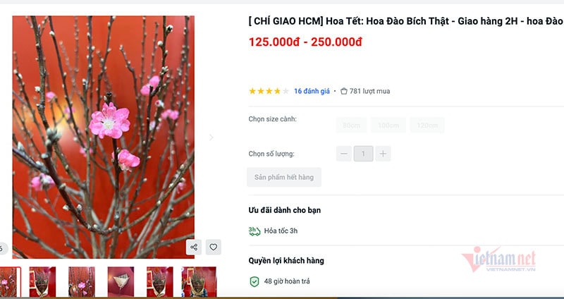 Đào Nhật Tân thắm sàn online, 2,8 triệu/cành vừa rao đã hết hàng